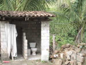 Jungle Toilet