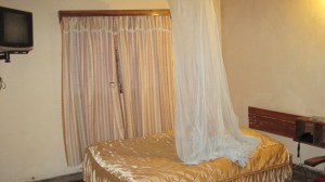 The TV worked, as did the mosquito net.