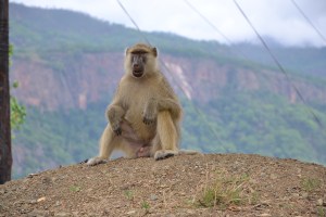 I dunno, should I have added a modesty blur?