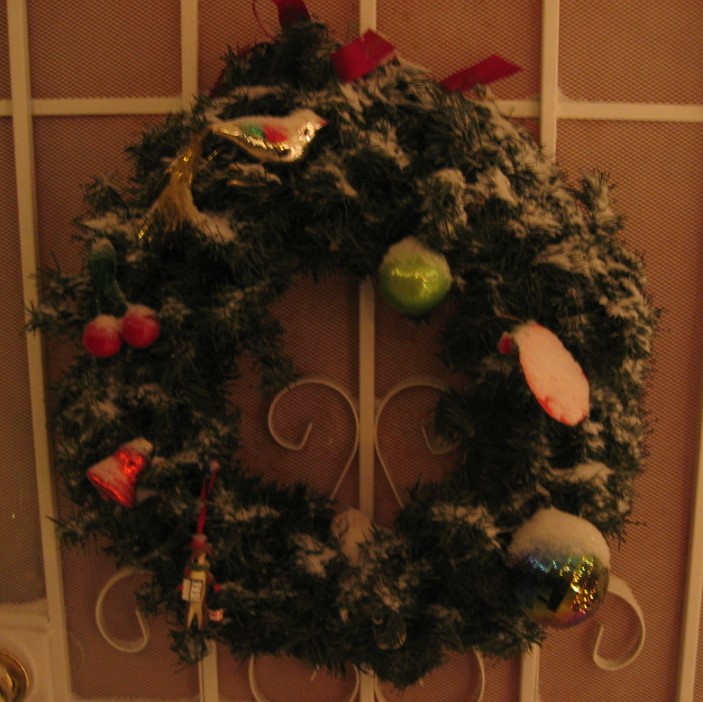 December 08 snow pictures 017 (2)